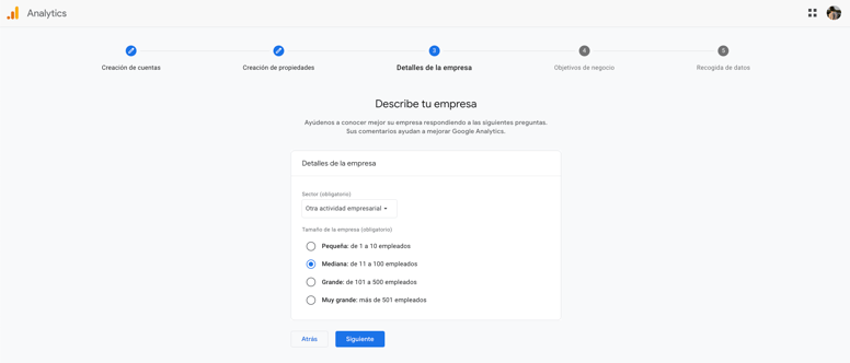 3 - Describe tu empresa